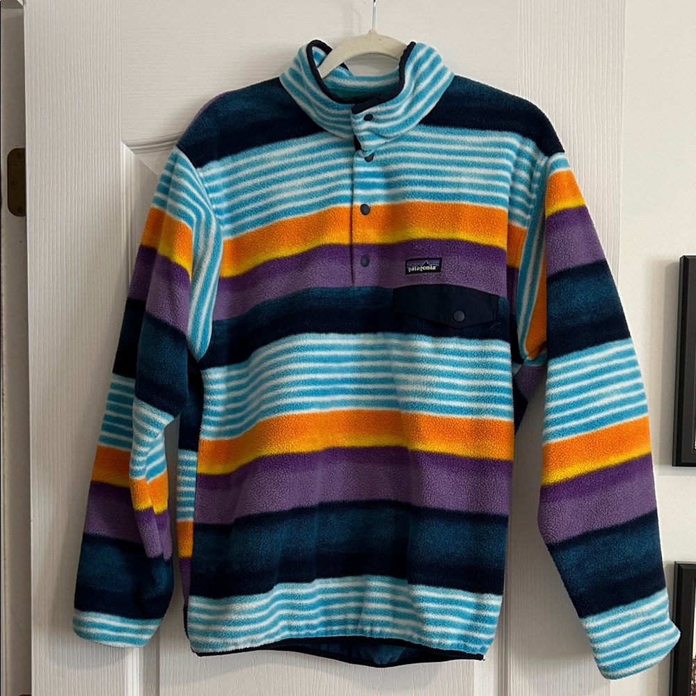 Patagonia Synchilla Multicolor Fleece